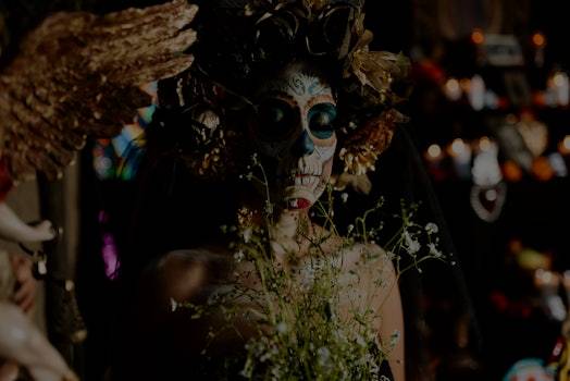 Rêver de chat en islam : signification et symboles