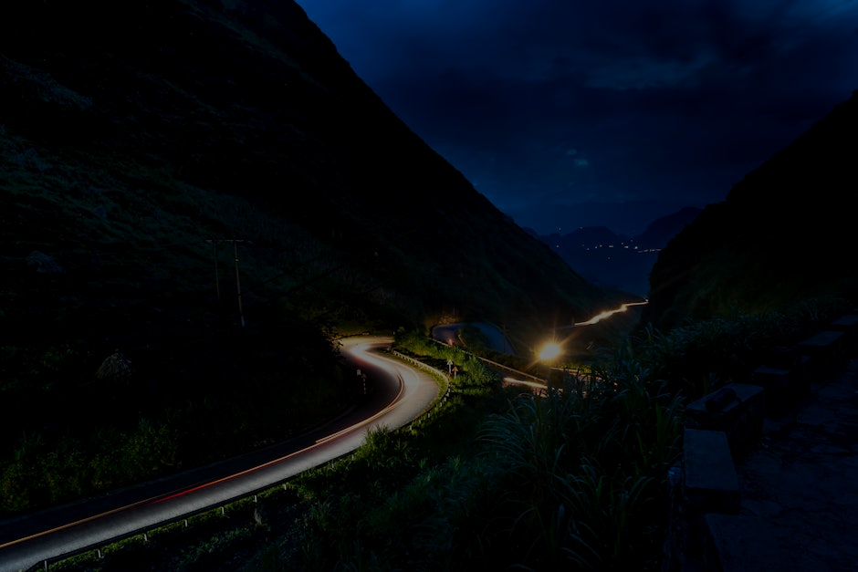 Signification rêve crapaud : quel message caché